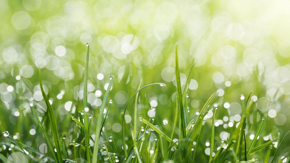 2021 ESG Report: Thriving Environment